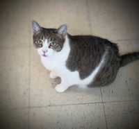 Ms. Sasha & Mr. T - EXTREMELY URGENT!!! - Photo 1