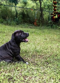 Belle - UP & COMING!!! - Photo 3