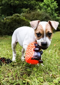 Flossy - UP & COMING! - Photo 3