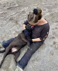 Tyson - Photo 4