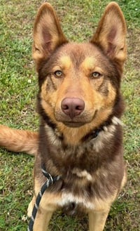 Danny - Photo 3