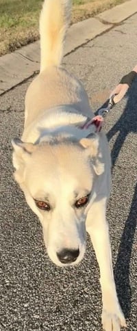 Maggie - Photo 3