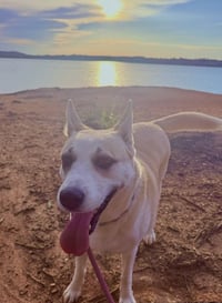 Maggie - Photo 4