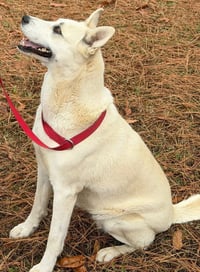Maggie - Photo 1