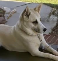 Maggie - Photo 2