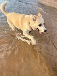 Maggie - Photo 5