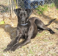 Lucas - Photo 3