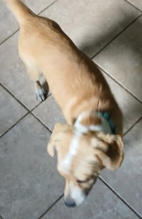 Barney - Photo 3