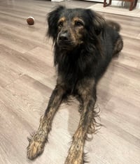 Thaddeus - Photo 4