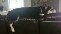 Missy - Photo 3