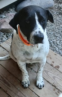 Penny - Photo 3