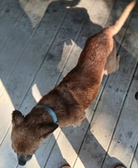 Timothy - Photo 3