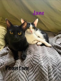 Jane - Photo 3