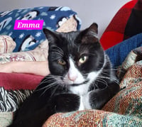 Emma - Photo 3