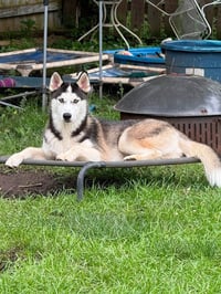Sasha - Photo 3