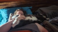 Finnegan - Photo 4