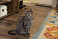 Wynona (Winnie) - Photo 4