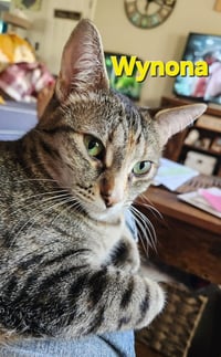 Wynona (Winnie) - Photo 2