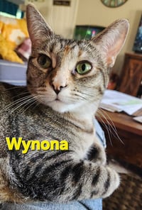 Wynona (Winnie) - Photo 3