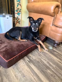 Honey - Photo 2