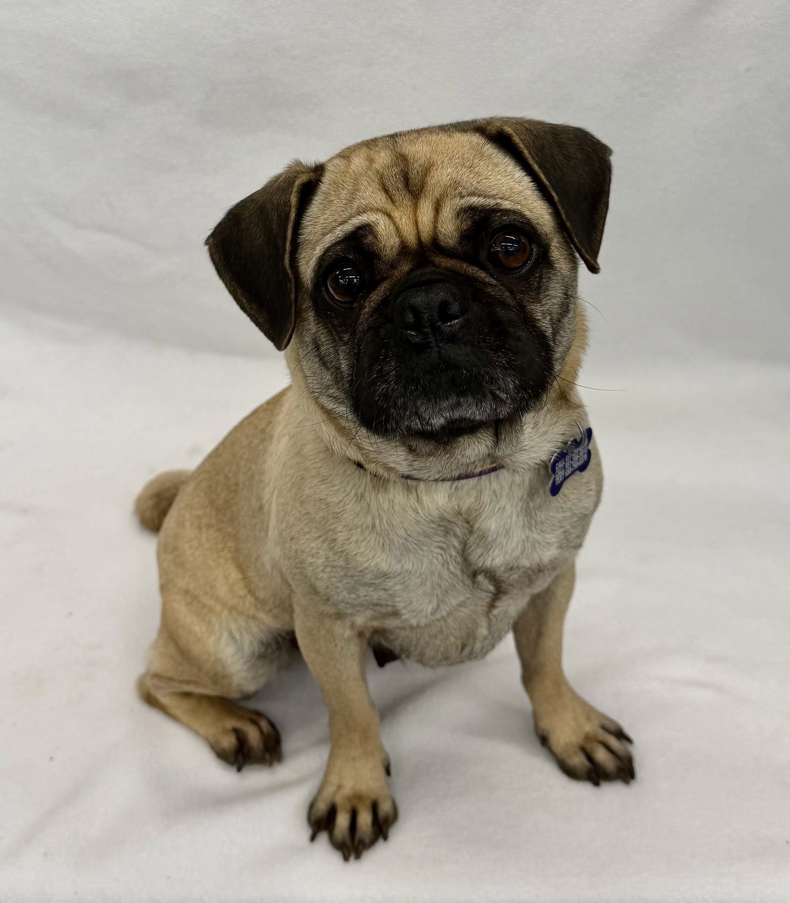 Spaghettios - Photo 3