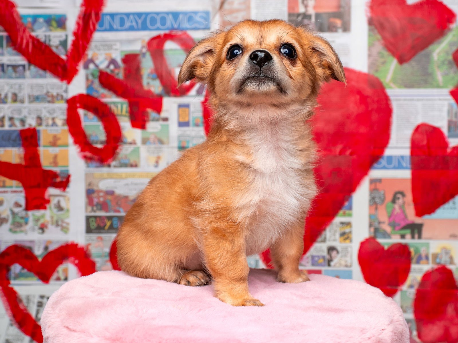 News: Beacon - Photo 3