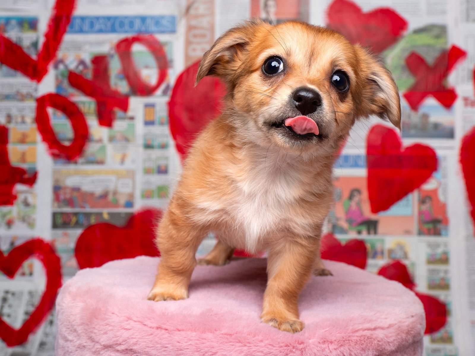 News: Beacon - Photo 4