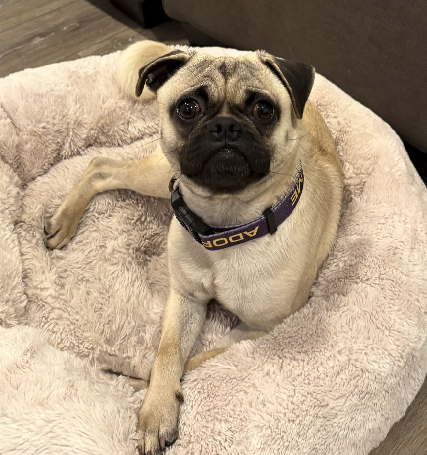 Chef Boyardee - Photo 3