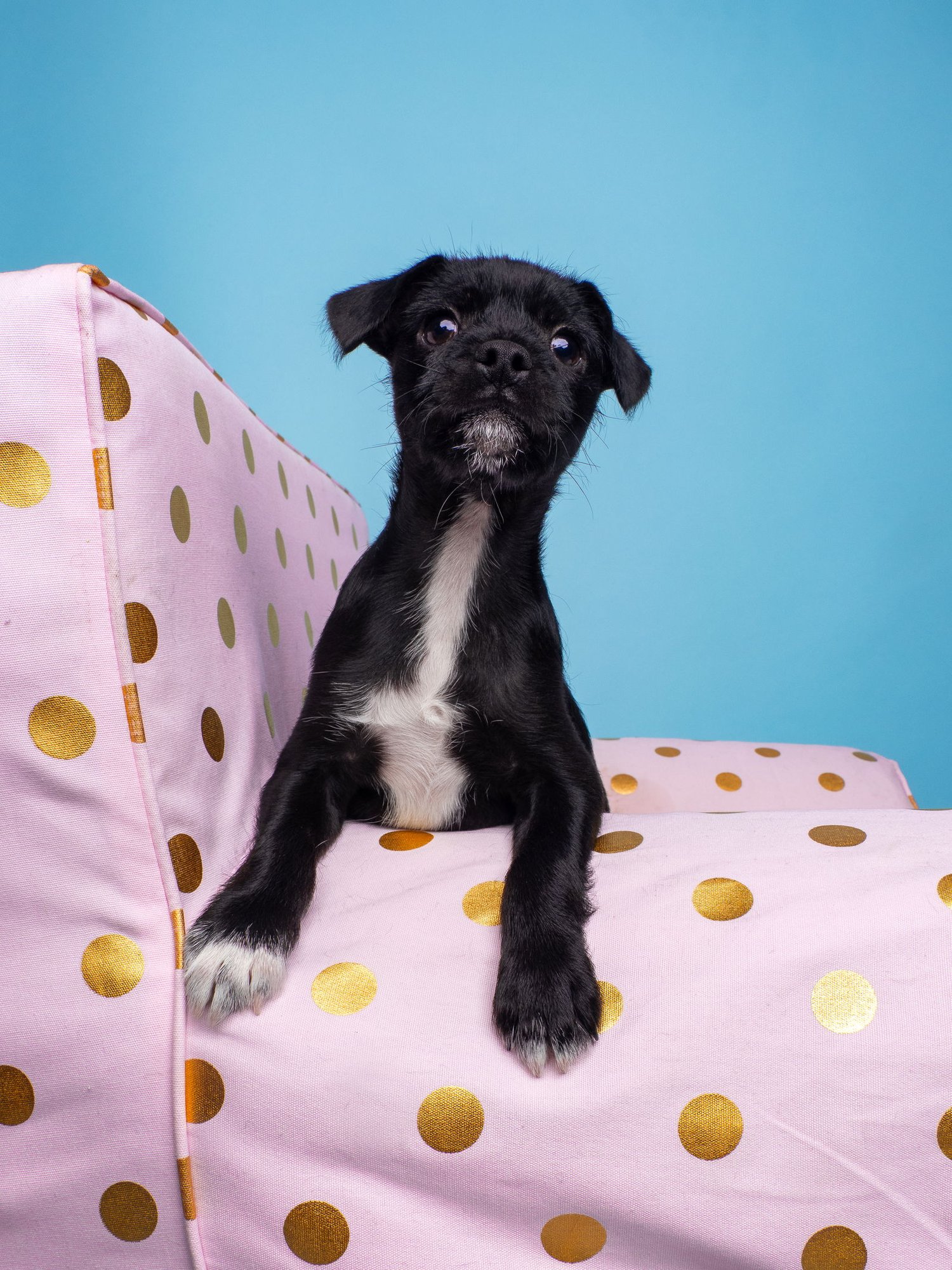 Chix Soup: Matzo Ball - Photo 4