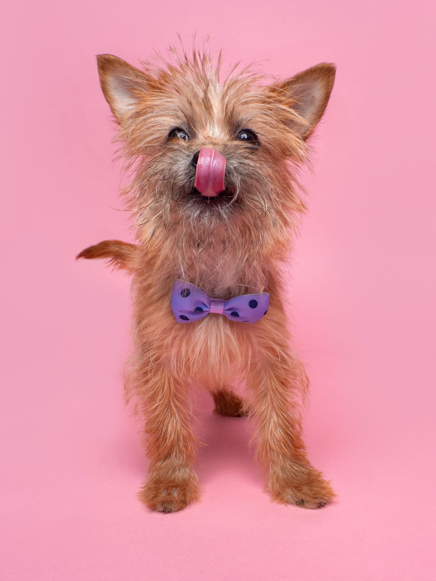 Cliffhanger - Photo 3