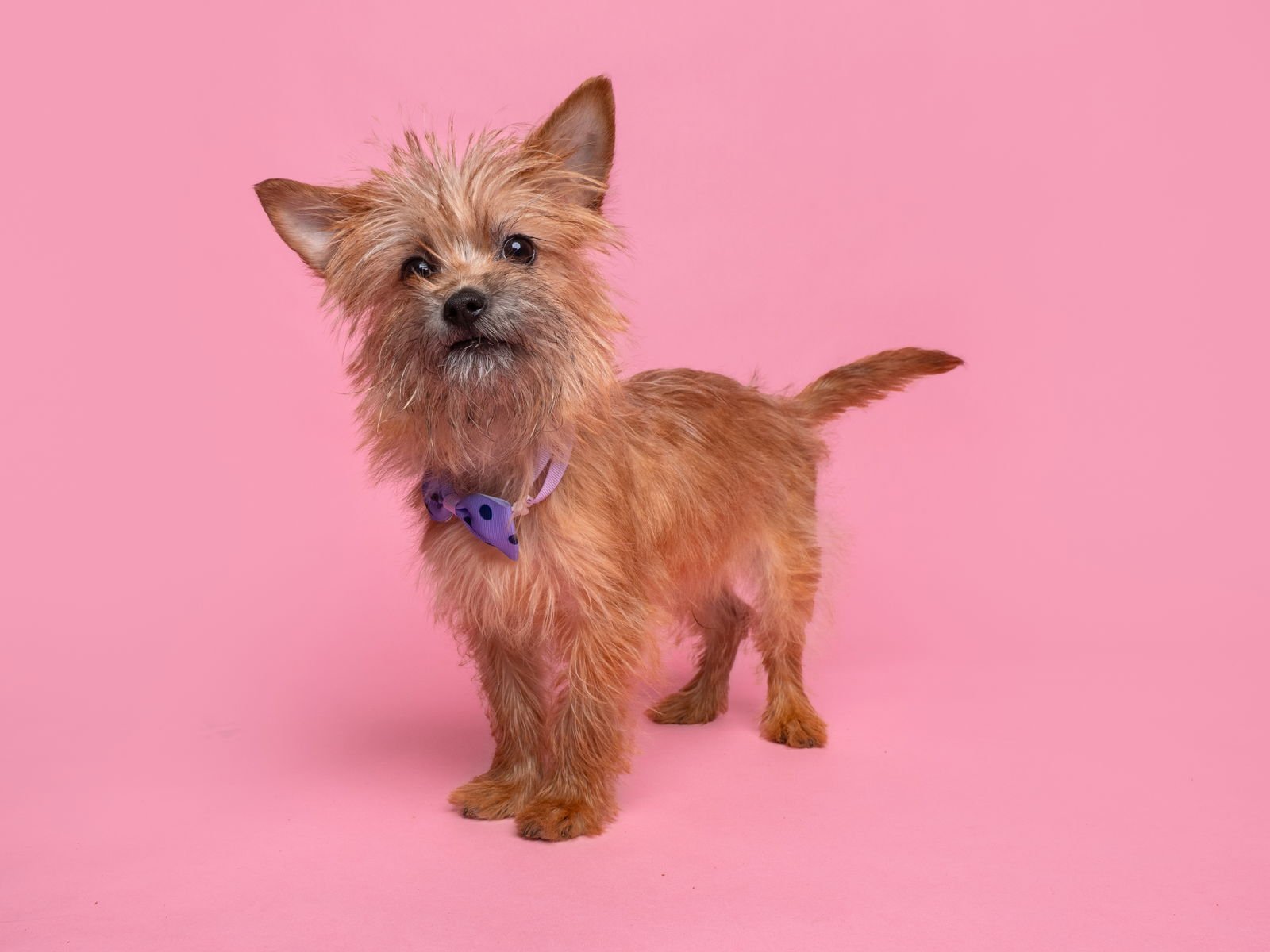 Cliffhanger - Photo 4