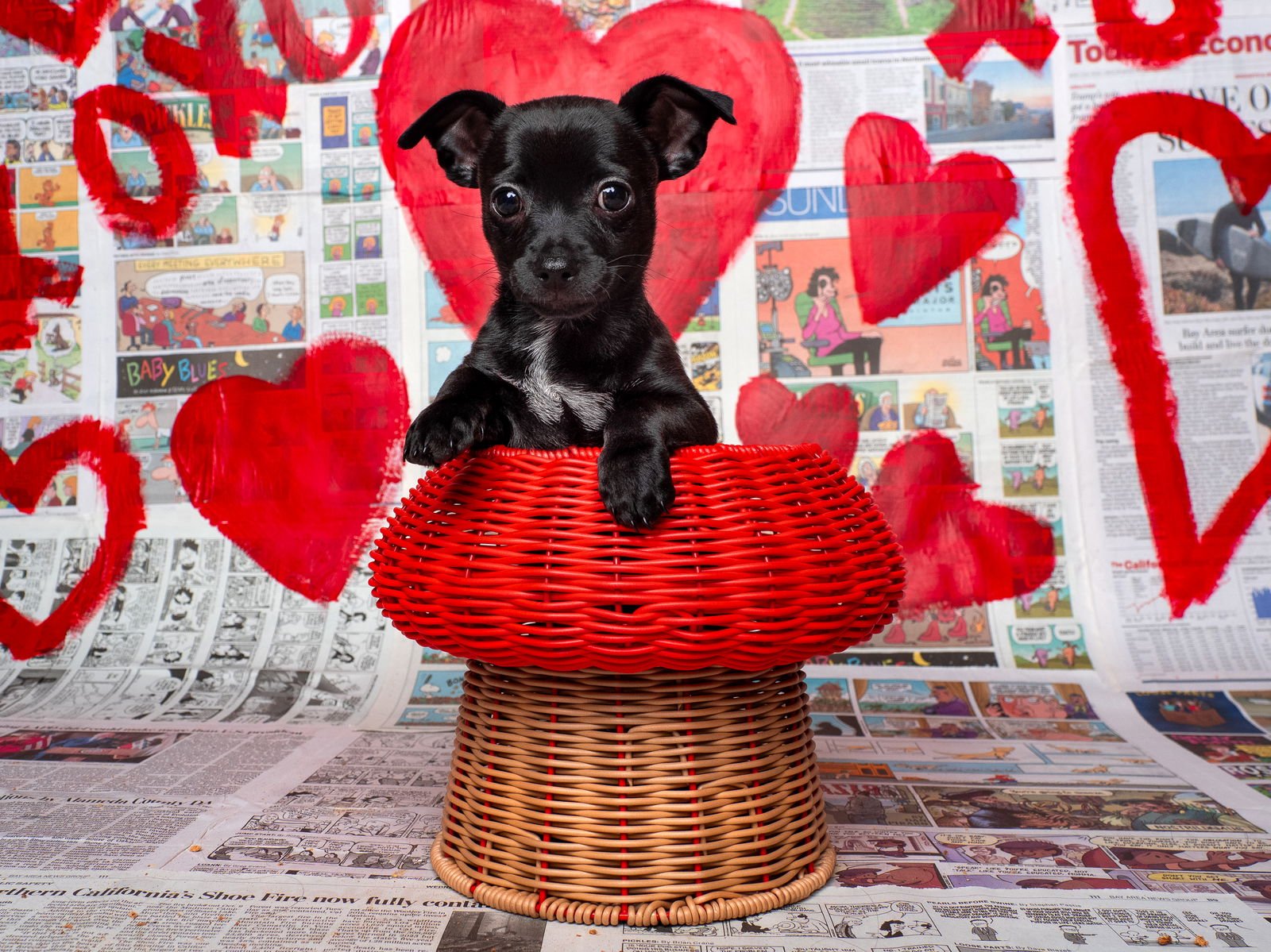 News: Ledger - Photo 3