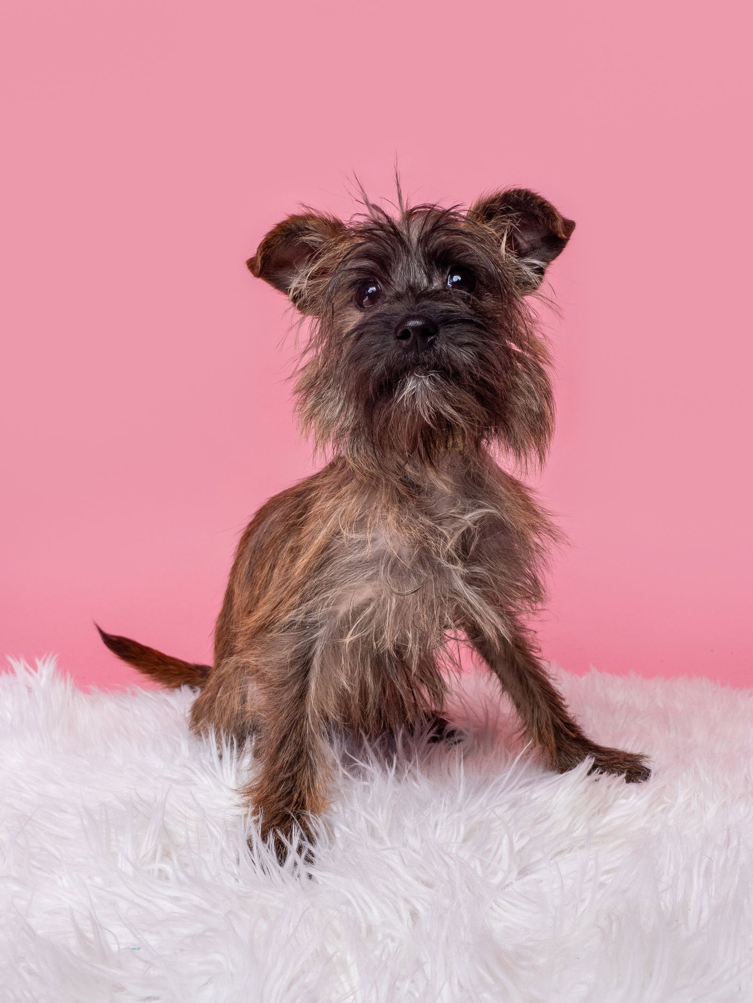 Plot Twist - Photo 3