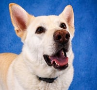 CASPER - Photo 1