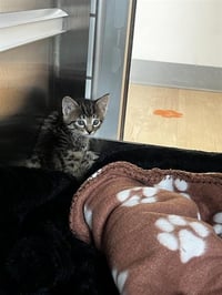 LUCKY - Photo 1