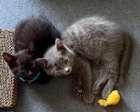 Fred & Ricky - Photo 2