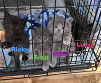 Fred & Ricky - Photo 3