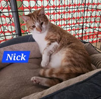 Nick Fury - NC - Photo 1