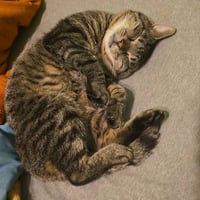 Roscoe - NC - Photo 1