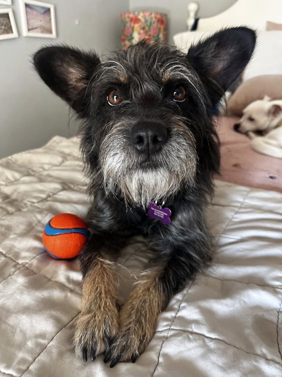 Nora Image