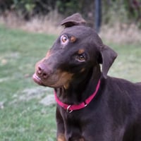 RYKER - Photo 2