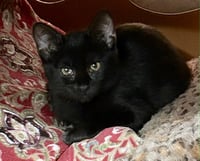 Amara - Photo 3