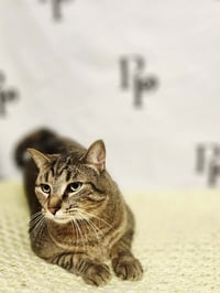 Binky - Photo 4