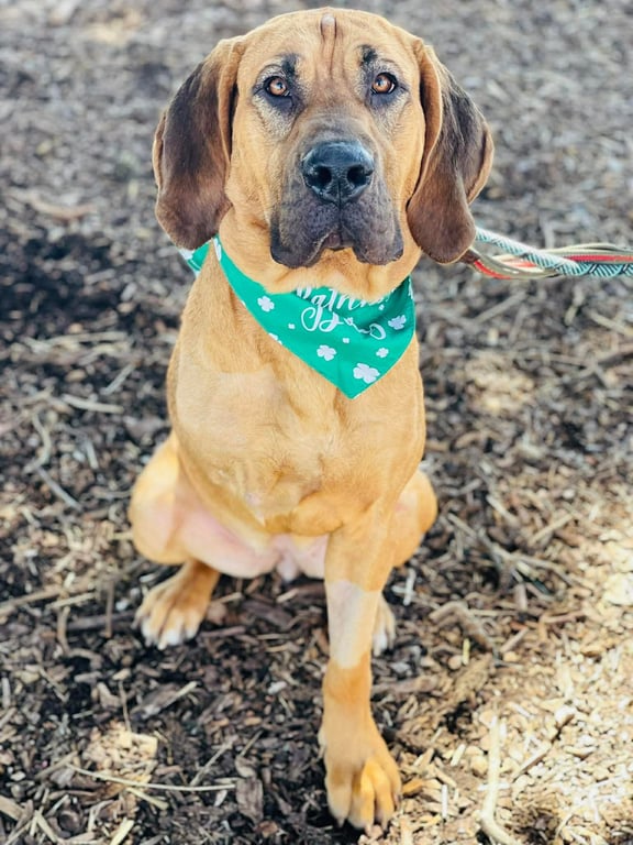 COURTESY POST...Amelia Image