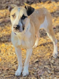 COURTESY POST..Cora - Photo 2