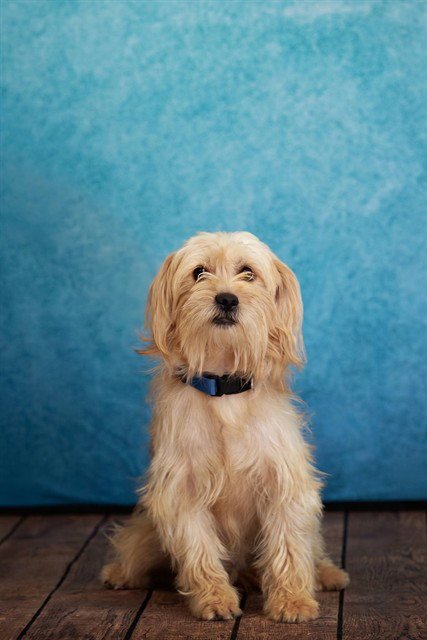 MELVIN Image