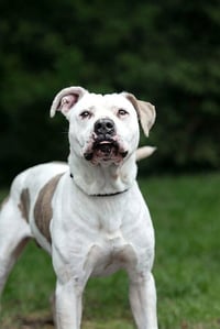 ZEKE - Photo 1
