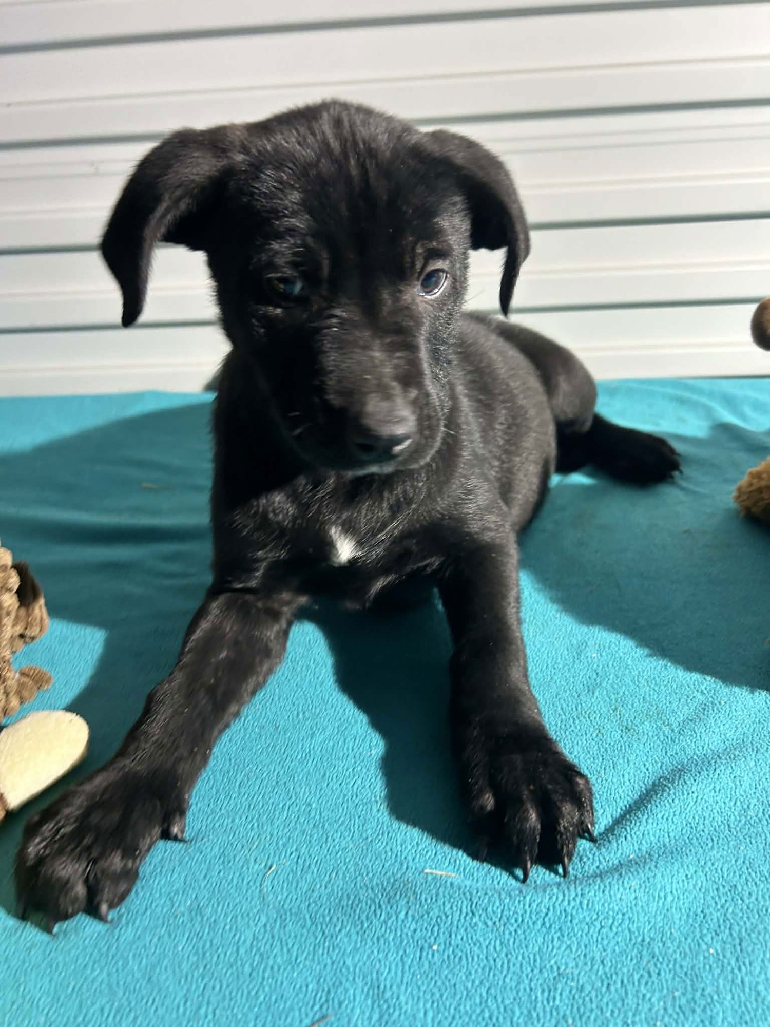 Buster Ray - Photo 3