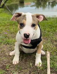 Gabi - Photo 5
