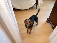Tammy - Photo 2